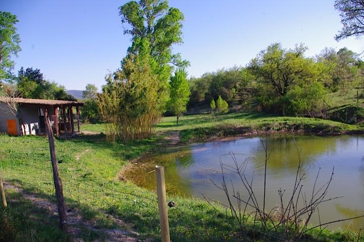 Domaine De Chadeyron Hotell Lagorce  Exteriör bild