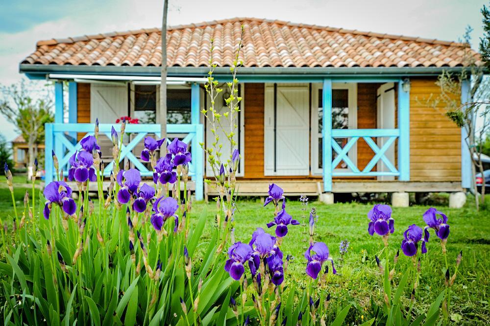 Domaine De Chadeyron Hotell Lagorce  Exteriör bild
